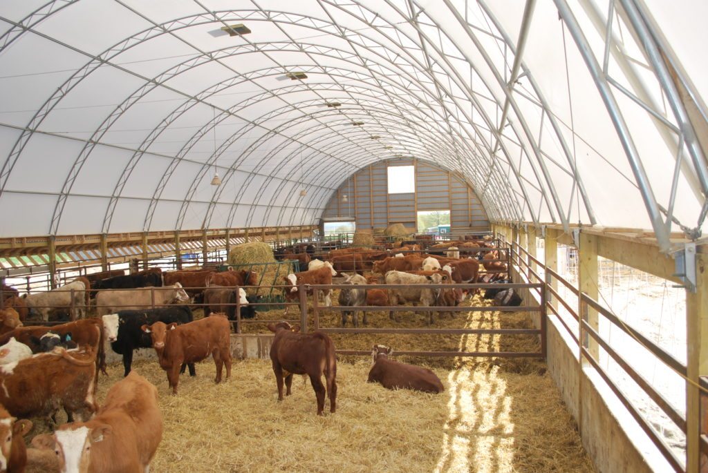 Cattle Fabric Building